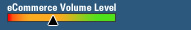 SSL Security Level