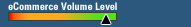 SSL Security Level