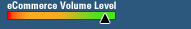 SSL Security Level